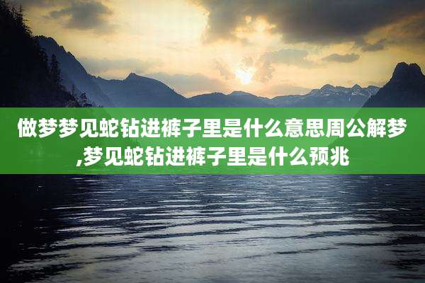 做梦梦见蛇钻进裤子里是什么意思周公解梦,梦见蛇钻进裤子里是什么预兆