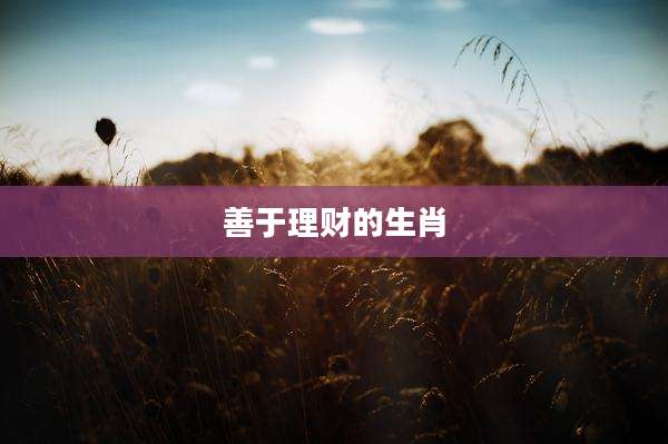 善于理财的生肖