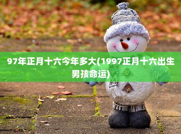 97年正月十六今年多大(1997正月十六出生男孩命运)