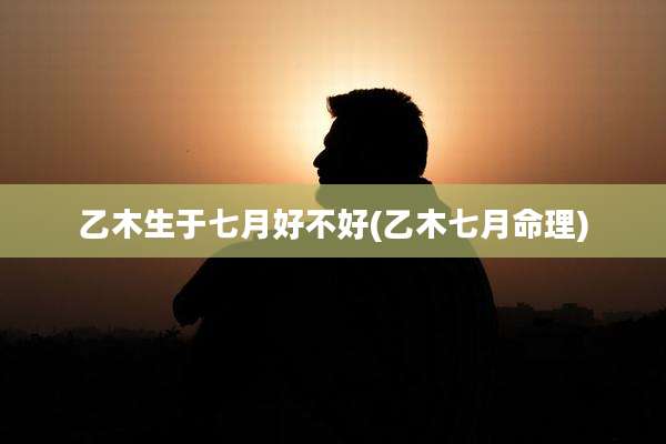 乙木生于七月好不好(乙木七月命理)