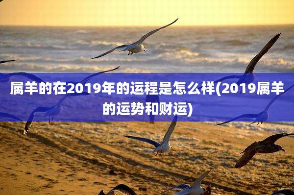 属羊的在2019年的运程是怎么样(2019属羊的运势和财运)
