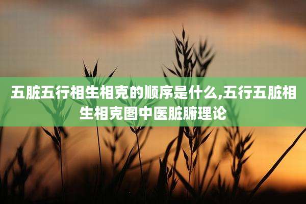 五脏五行相生相克的顺序是什么,五行五脏相生相克图中医脏腑理论