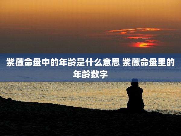 紫薇命盘中的年龄是什么意思 紫薇命盘里的年龄数字