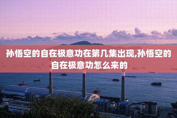 孙悟空的自在极意功在第几集出现,孙悟空的自在极意功怎么来的