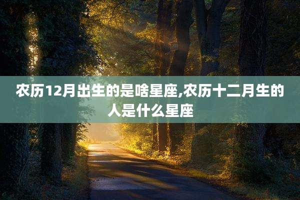 农历12月出生的是啥星座,农历十二月生的人是什么星座