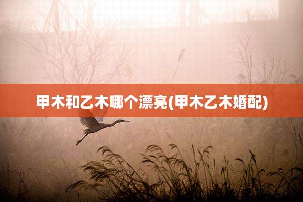 甲木和乙木哪个漂亮(甲木乙木婚配)