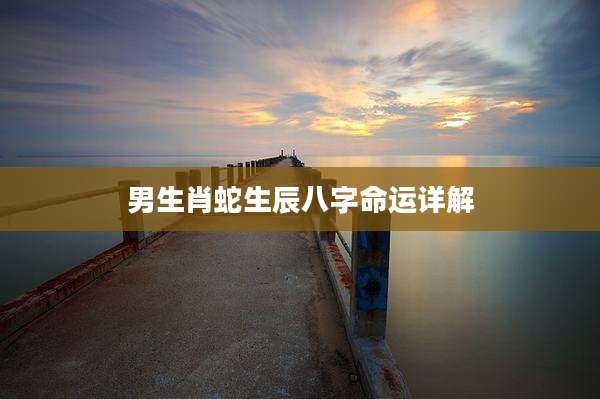 男生肖蛇生辰八字命运详解
