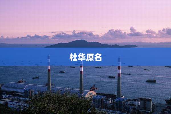 杜华原名