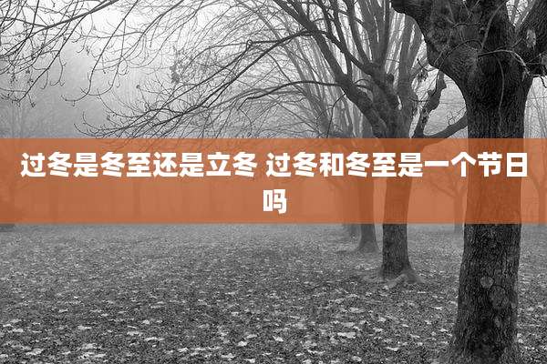 过冬是冬至还是立冬 过冬和冬至是一个节日吗