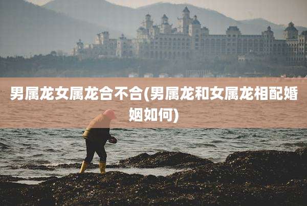 男属龙女属龙合不合(男属龙和女属龙相配婚姻如何)