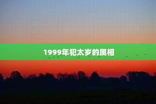 1999年犯太岁的属相
