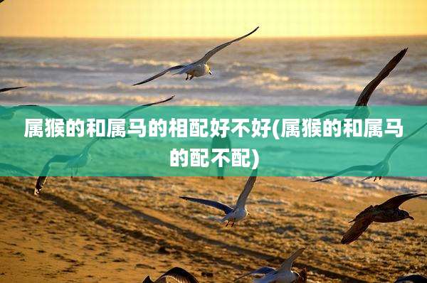属猴的和属马的相配好不好(属猴的和属马的配不配)