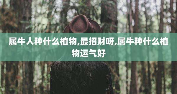 属牛人种什么植物,最招财呀,属牛种什么植物运气好