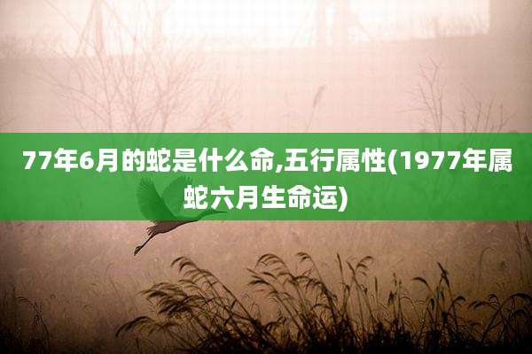 77年6月的蛇是什么命,五行属性(1977年属蛇六月生命运)