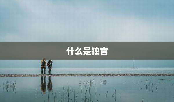 什么是独官