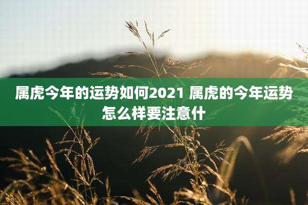 属虎今年的运势如何2021 属虎的今年运势怎么样要注意什