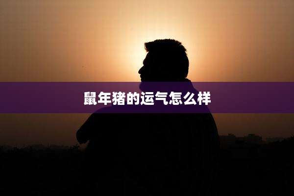 鼠年猪的运气怎么样