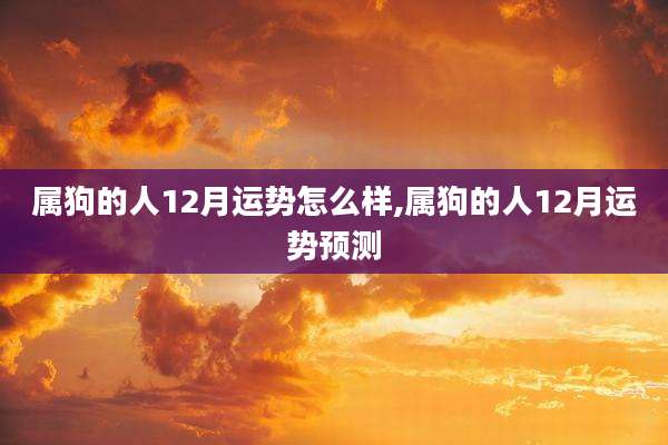 属狗的人12月运势怎么样,属狗的人12月运势预测