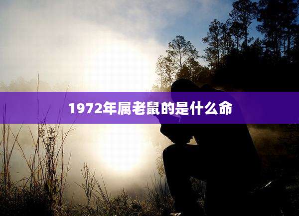 1972年属老鼠的是什么命