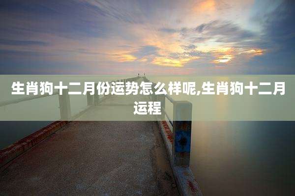 生肖狗十二月份运势怎么样呢,生肖狗十二月运程