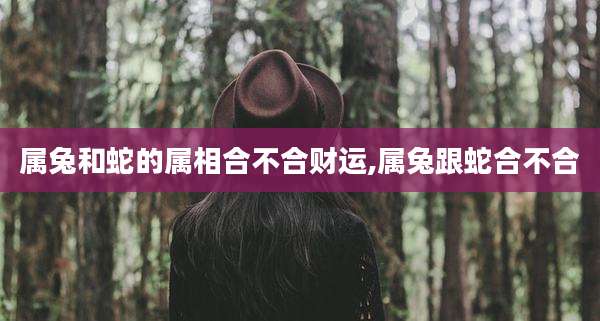 属兔和蛇的属相合不合财运,属兔跟蛇合不合