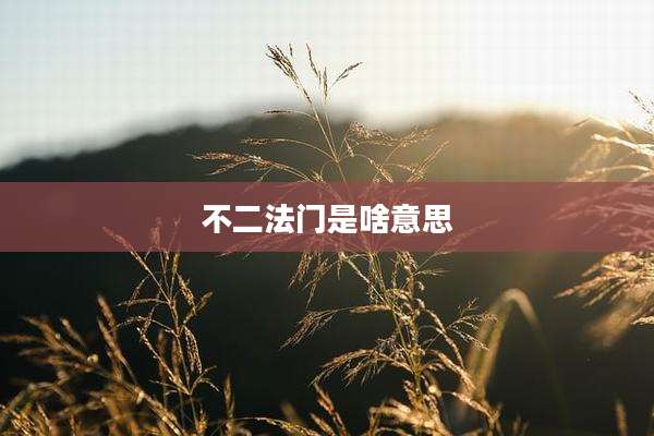 不二法门是啥意思