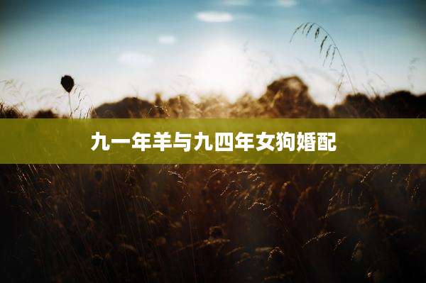 九一年羊与九四年女狗婚配