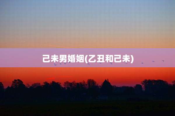 己未男婚姻(乙丑和己未)