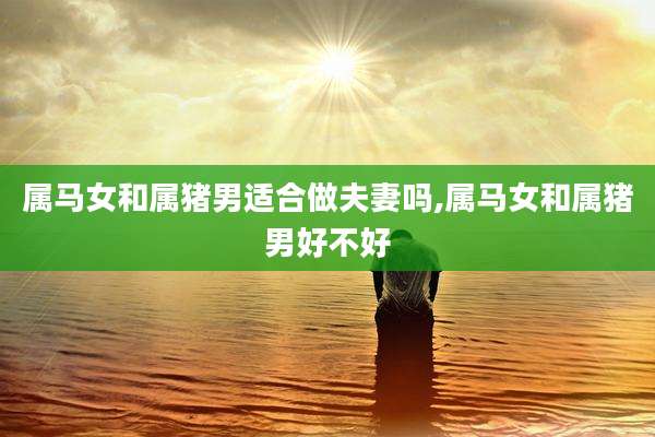属马女和属猪男适合做夫妻吗,属马女和属猪男好不好