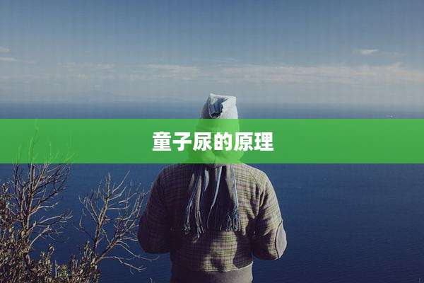 童子尿的原理