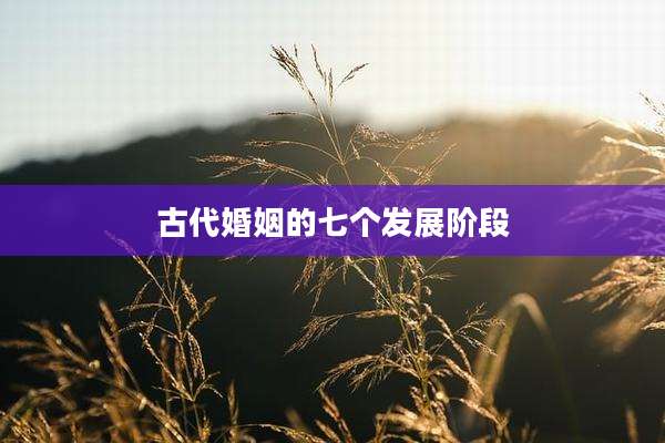 古代婚姻的七个发展阶段