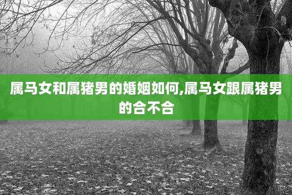 属马女和属猪男的婚姻如何,属马女跟属猪男的合不合