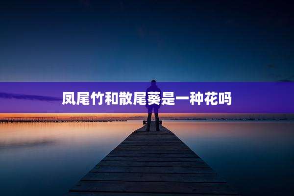 凤尾竹和散尾葵是一种花吗