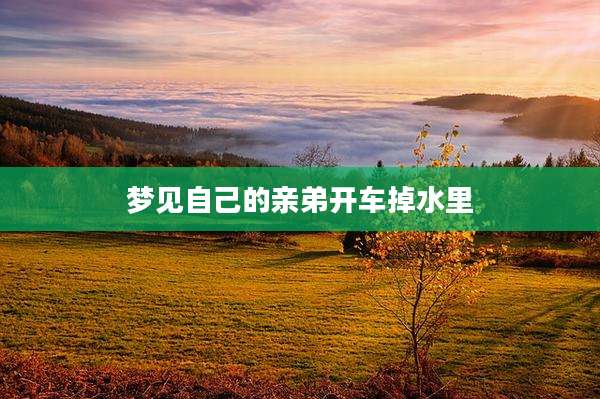 梦见自己的亲弟开车掉水里