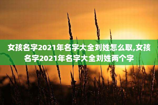 女孩名字2021年名字大全刘姓怎么取,女孩名字2021年名字大全刘姓两个字