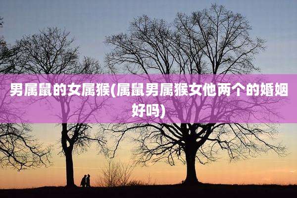 男属鼠的女属猴(属鼠男属猴女他两个的婚姻好吗)