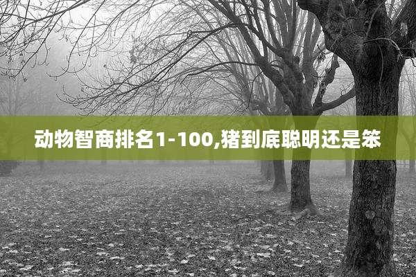动物智商排名1-100,猪到底聪明还是笨