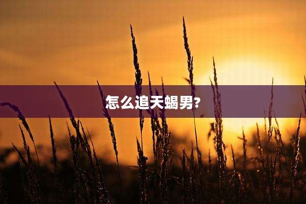 怎么追天蝎男?