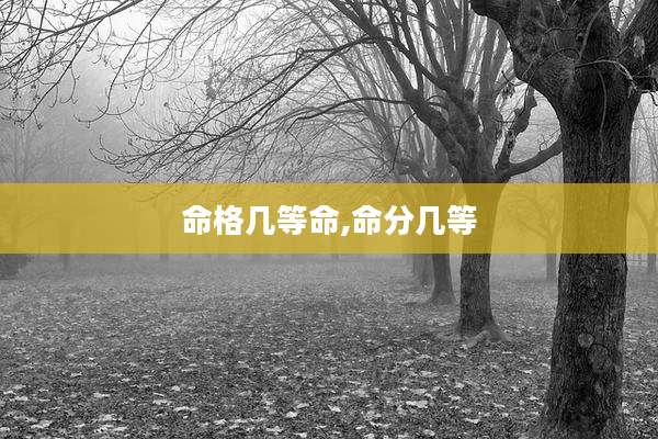 命格几等命,命分几等
