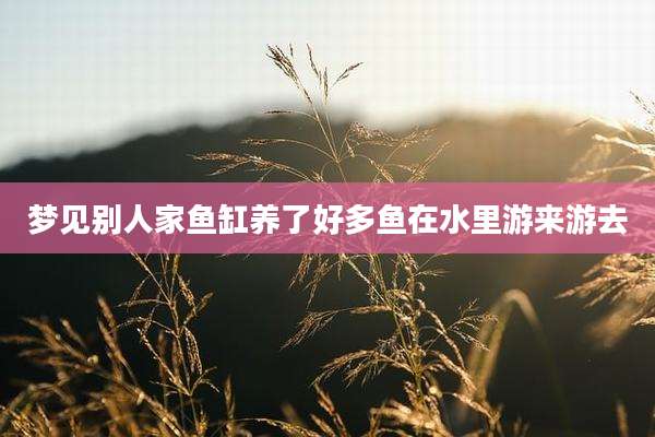 梦见别人家鱼缸养了好多鱼在水里游来游去