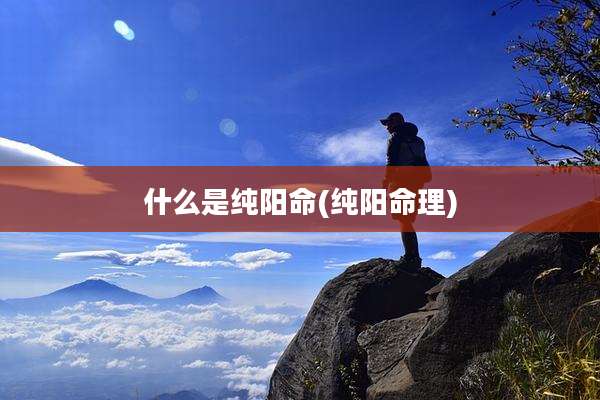 什么是纯阳命(纯阳命理)