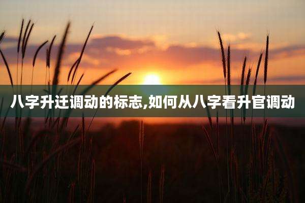 八字升迁调动的标志,如何从八字看升官调动
