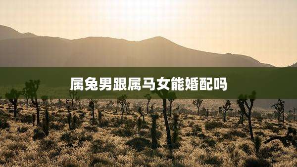 属兔男跟属马女能婚配吗