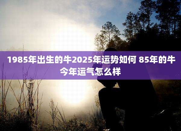 1985年出生的牛2025年运势如何 85年的牛今年运气怎么样