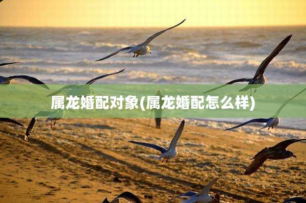 属龙婚配对象(属龙婚配怎么样)