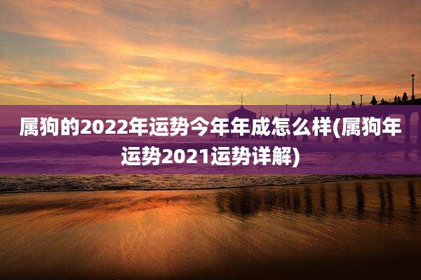 属狗的2022年运势今年年成怎么样(属狗年运势2021运势详解)
