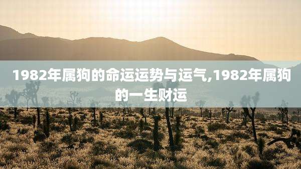 1982年属狗的命运运势与运气,1982年属狗的一生财运