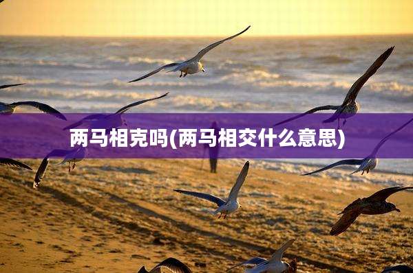 两马相克吗(两马相交什么意思)