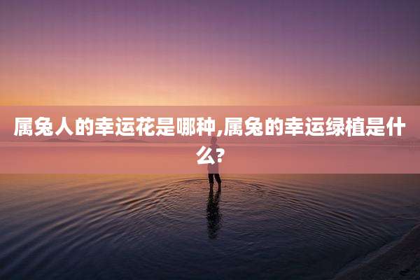 属兔人的幸运花是哪种,属兔的幸运绿植是什么?