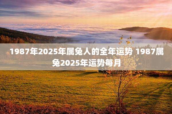 1987年2025年属兔人的全年运势 1987属兔2025年运势每月